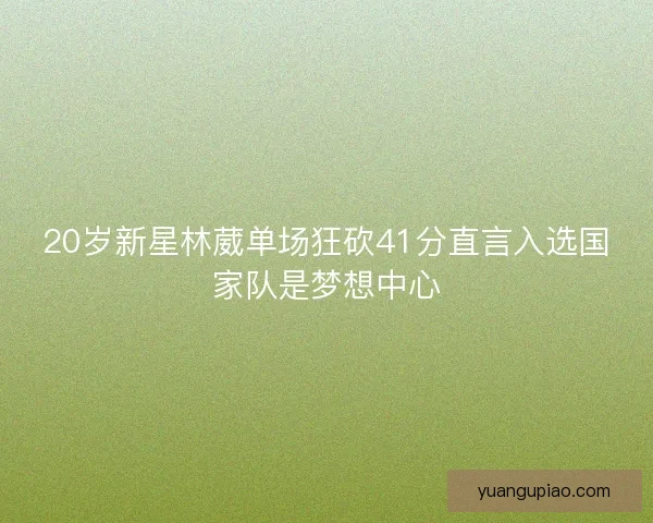 20岁新星林葳单场狂砍41分直言入选国家队是梦想中心